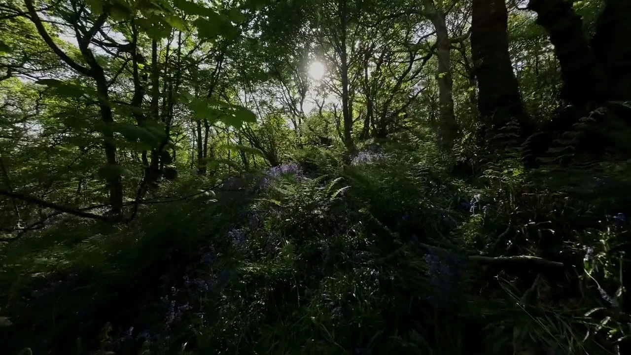 Recuperar la capacidad de nuestros paisajes para guardar agua, sostener vida y resistir el fuego