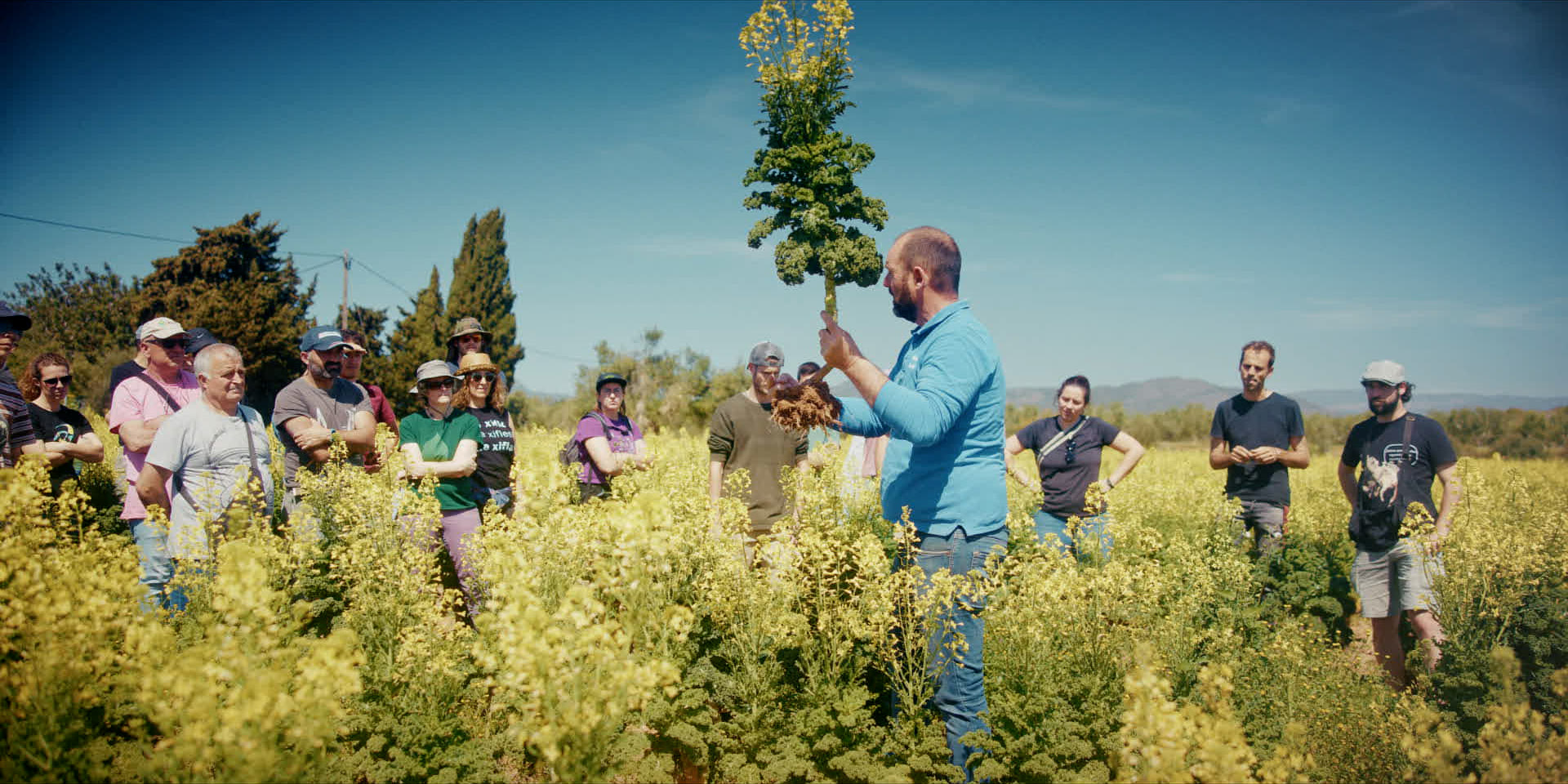 Un técnico explica a un grupo de agricultores en un cultivo en flor