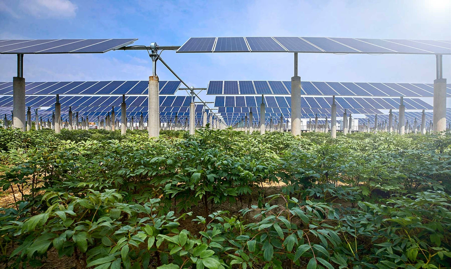 Alcanzar la soberanía energética, construir riqueza generacional,