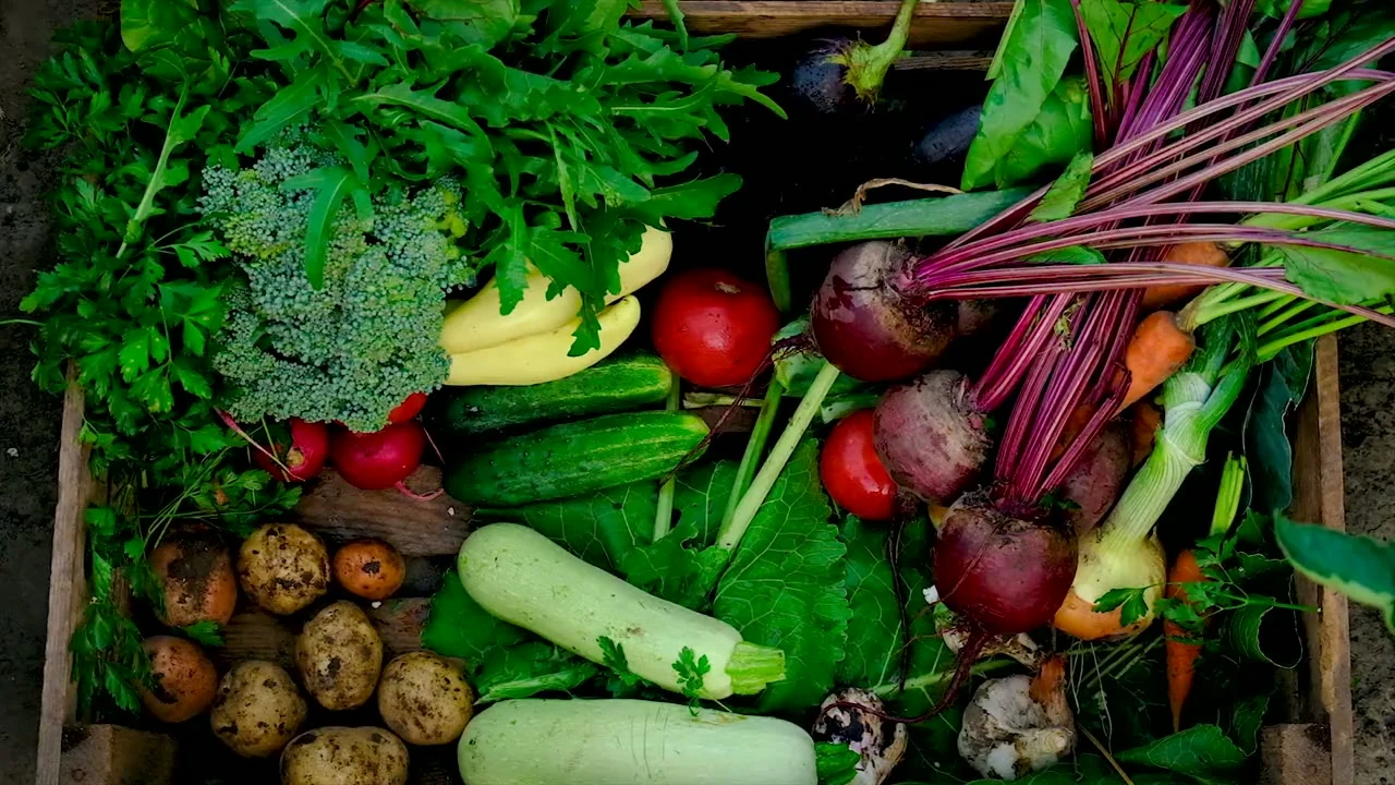 Reconocer los alimentos que recuperan la tierra