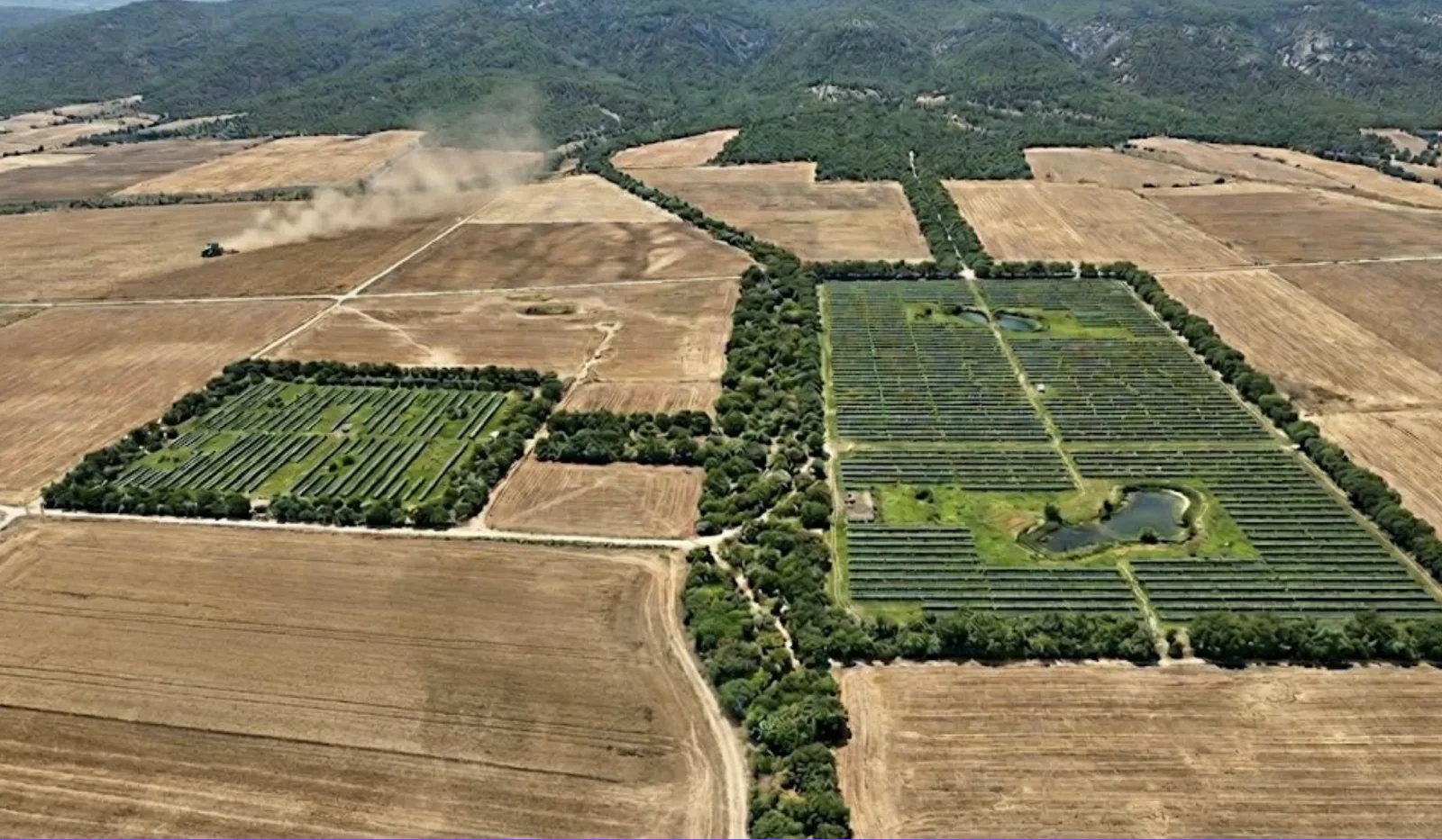 Convertir los parques en espacios de regeneración